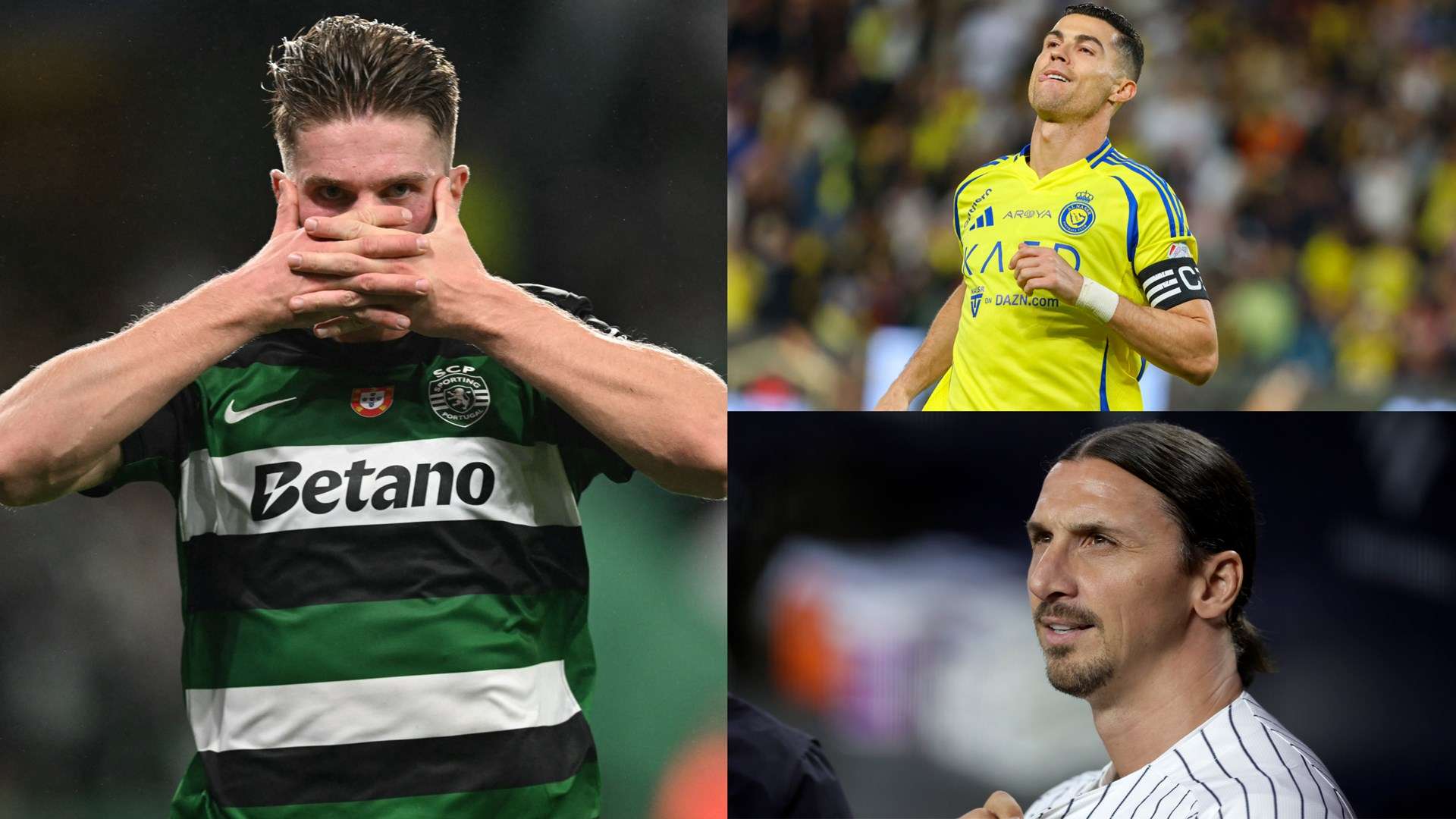 这一排名不 这一排名不