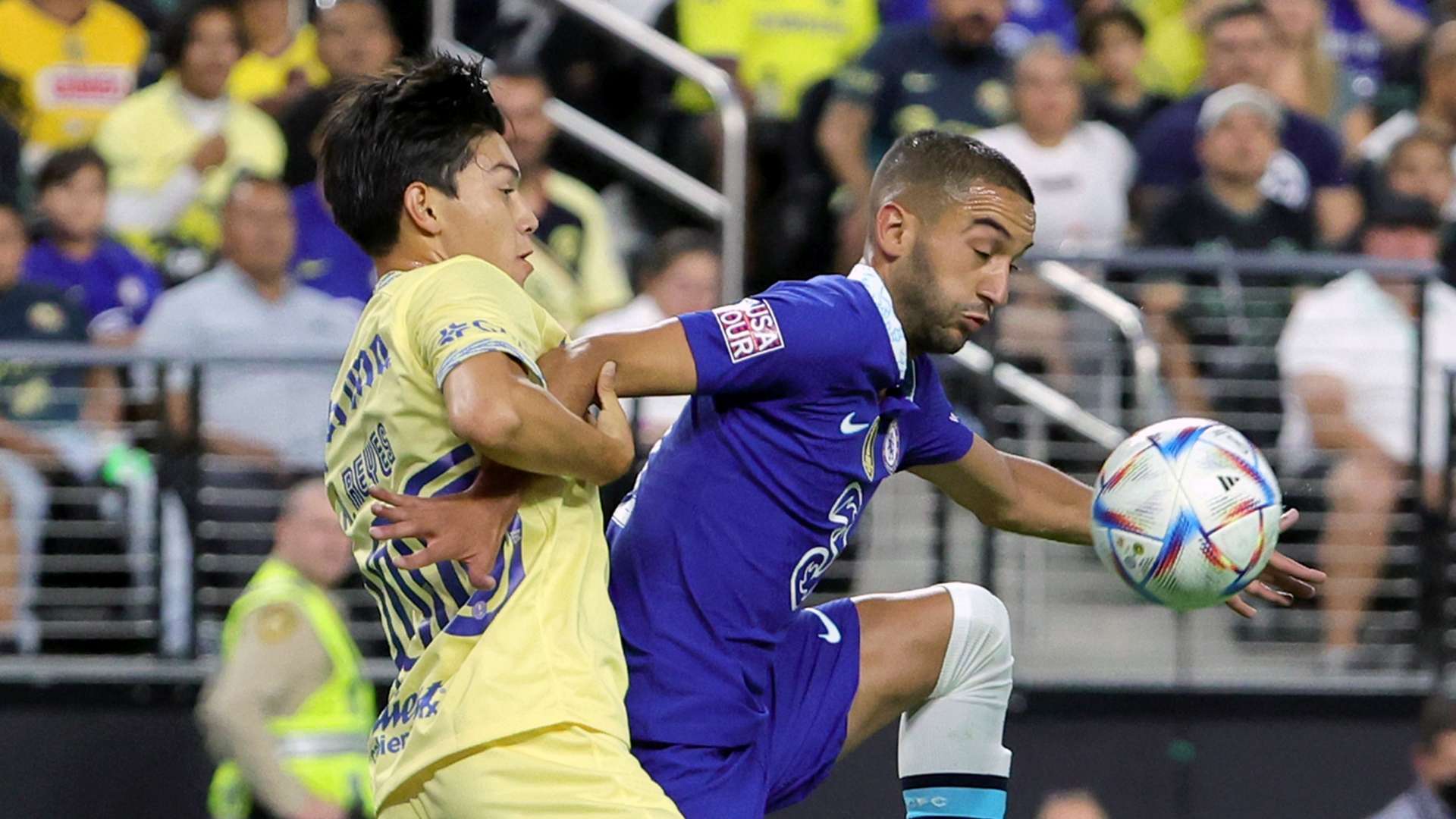 的生命力和 的生命力和