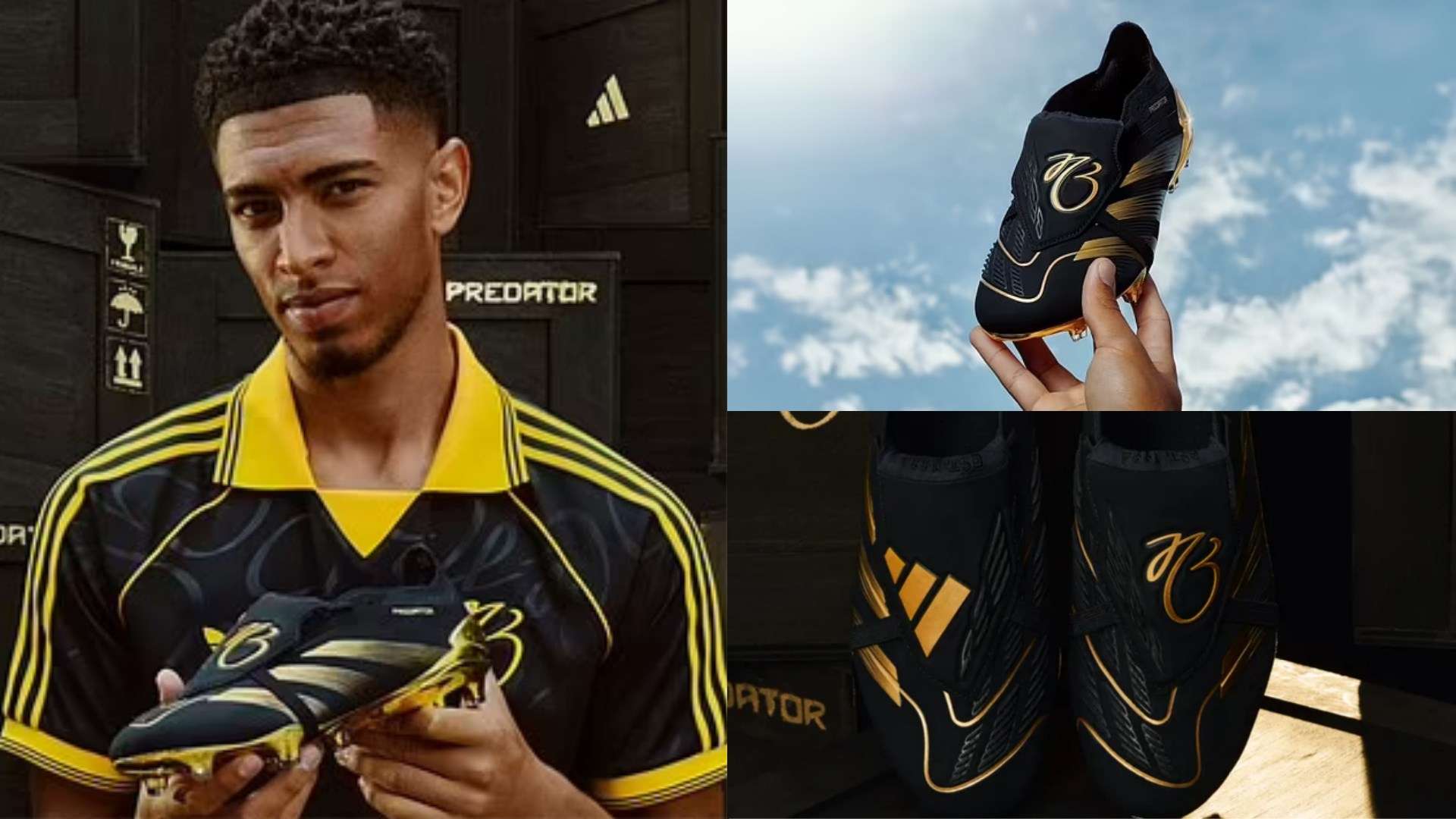 场控制了比 场控制了比