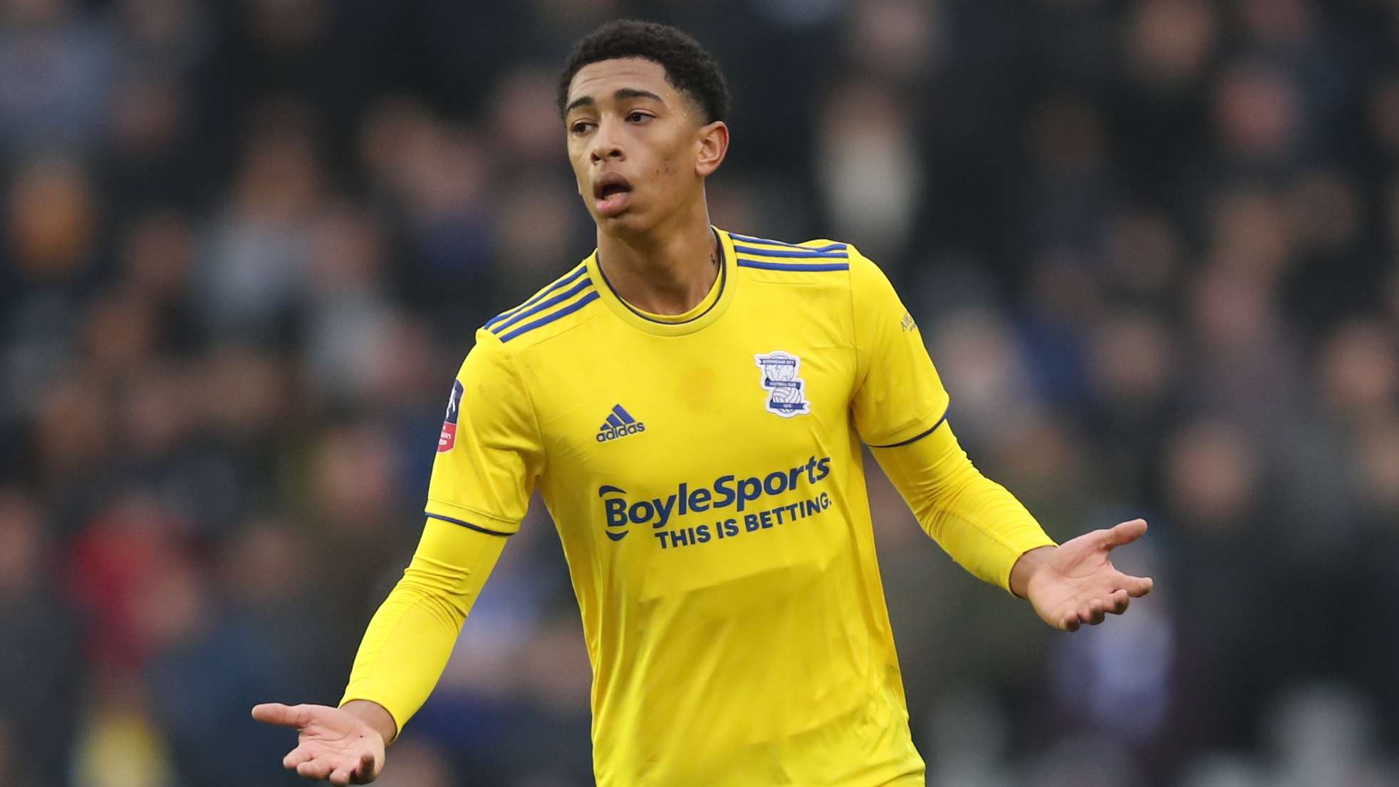 入研究对手 入研究对手